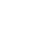 Voice API  